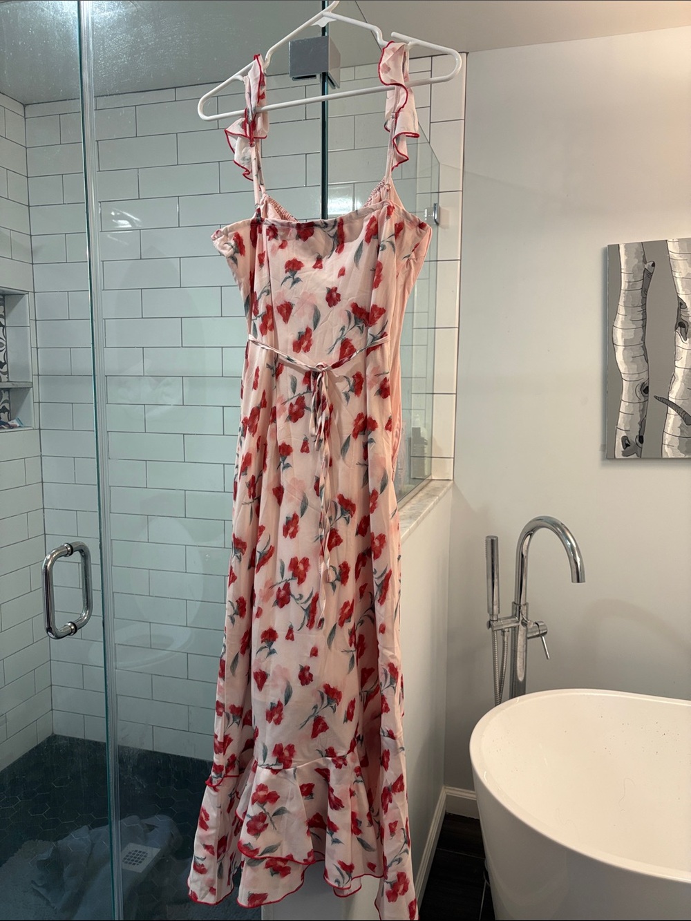 NWT Cider Pink Maxi Dress with Red Floral Print